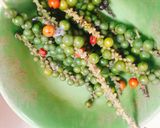 Hình bước làm 1 của món Cá nục kho tiêu xanh