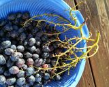 A picture of step 2 of Black grapes rose Kvass.