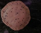A picture of step 7 of Patties.