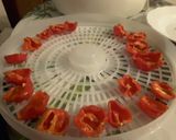 Une image de l'étape 2 de Ma culture de piments habenero.