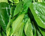 蒜炒小松菜 (油菜) / 簡單家常菜的食譜步驟1照片