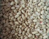 Foto langkah ke 1 dari resep Kacang bawang.