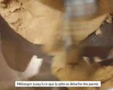 Une image de l'étape 4 de Sablés de Noël 🎅 Épices Speculoos et Pain d'épices 🎅🌟🌲.