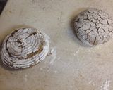 A picture of step 13 of Roggenbrot - All Rye Sourdough Loaf [Bakery Recipe].
