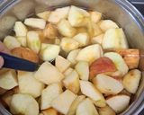 Foto del paso 3 de la receta: Compota de Manzanas 🍎