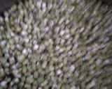 ફણગાવેલાં મગનું શાક(Sprouted mung sabji recipe in Gujarati) રેસીપી સ્ટેપ1ફોટો