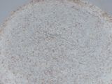 Tortilla Integral con Semillas (sin polvos de hornear y con aceite vegetal)