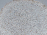 Tortilla Integral con Semillas (sin polvos de hornear y con aceite vegetal)