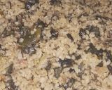 A picture of step 4 of Dambun Shinkafa da Zogale A sauƙaƙe (أكلة نيجيرية بالرز المبشر).