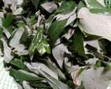 Foto langkah ke 1 dari resep Samba lado tanak / gulai pucuk ubi/ gulai daun singkong.