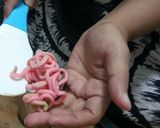 Foto langkah ke 7 dari resep Petulo kuah santan a.k.a putu mayang.