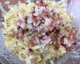 A picture of step 5 of 66 • Okonomiyaki or "Japanese Pizza" 🇯🇵.
