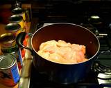 Mike's Southwestern Chicken Soup recipe step 1 photo