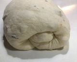 Foto del passaggio 5 della ricetta Pane con Saragolla