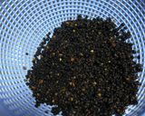 Hình bước làm 1 của món Elderberry syrup-công thức chi Dâu