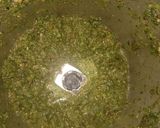 A picture of step 1 of Vegitable Pulav.