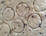 A picture of step 6 of Walnut Choco butter Cookies.