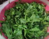 Foto langkah ke 1 dari resep 231. Sayur Pakis Santan Teri.