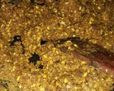 मूंग दाल की खस्ता कचौड़ी (moong dal khasta kachodi recipe in Hindi) रेसिपी चरण 3 फोटो