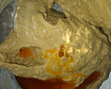 Foto del paso 2 de la receta: Paté de mejillones picante