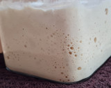 Foto del paso 9 de la receta: Masa Madre 🌾 La génesis del pan ♥️