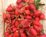 عکس مرحله 2 از دستور رب میوه نسترن