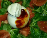 Foto del paso 6 de la receta: Ensalada de burrata fresca