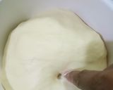 Foto langkah ke 4 dari resep Basic Soft  Bun.