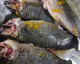 A picture of step 1 of Koi komola, climbing fish curry with orange juice.