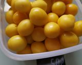 Mirabellen als Umeboshi einlegen Rezeptschritt 1 Foto