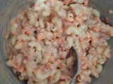 Skotel makaroni goreng panir