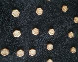 A picture of step 2 of Chocolate Peanut Butter Marie Biscuits.