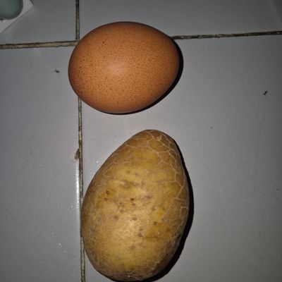 Langkah 1