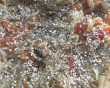 Foto del paso 6 de la receta: Pastas con verduras y pollo salteado