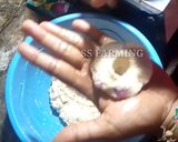 புளியங்கொட்டை வடை ரெசிபி ஸ்டேப் 6 புகைப்படம்