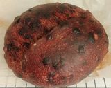Foto langkah ke 21 dari resep Double Chocolate Sourdough Bread (Oven Tangkring).