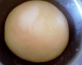 Foto langkah ke 2 dari resep Five thousand dollars starter dough bread again (fluffy).