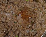 A picture of step 7 of Tandoori Mutton Keema.