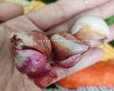 Foto langkah ke 1 dari resep Sayur Bening.