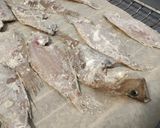 Foto del paso 3 de la receta: Lenguadina crujiente mediterránea