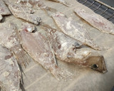 Foto del paso 3 de la receta: Lenguadina crujiente mediterránea