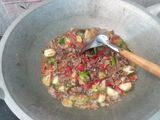 Terong Jamur Gerigit Super Hot