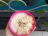 Singkong Thailand