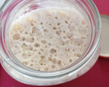 Foto del paso 1 de la receta: Pan baguette con masa madre