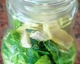 A picture of step 5 of Detox Water / Spa Water / Infused Water On The Go (Lemon cucumber mint ginger).