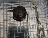 Foto langkah ke 3 dari resep Eggdrop Choco (Kue Kering Simple 3 bahan).