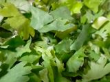 થેપલા (Thepla Recipe In Gujarati)