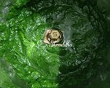 પાલક પનીર(Palak Paneer Recipe In Gujarati) રેસીપી સ્ટેપ3ફોટો
