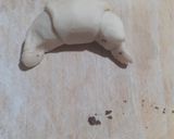 Foto del paso 8 de la receta: Masa de danés y formas de croissant