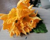 Foto del passaggio 2 della ricetta Fiori di zucca in pastella (senza uova e latte)